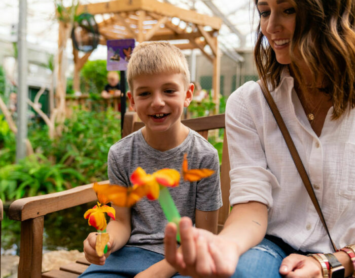 Butterfly House Aquarium