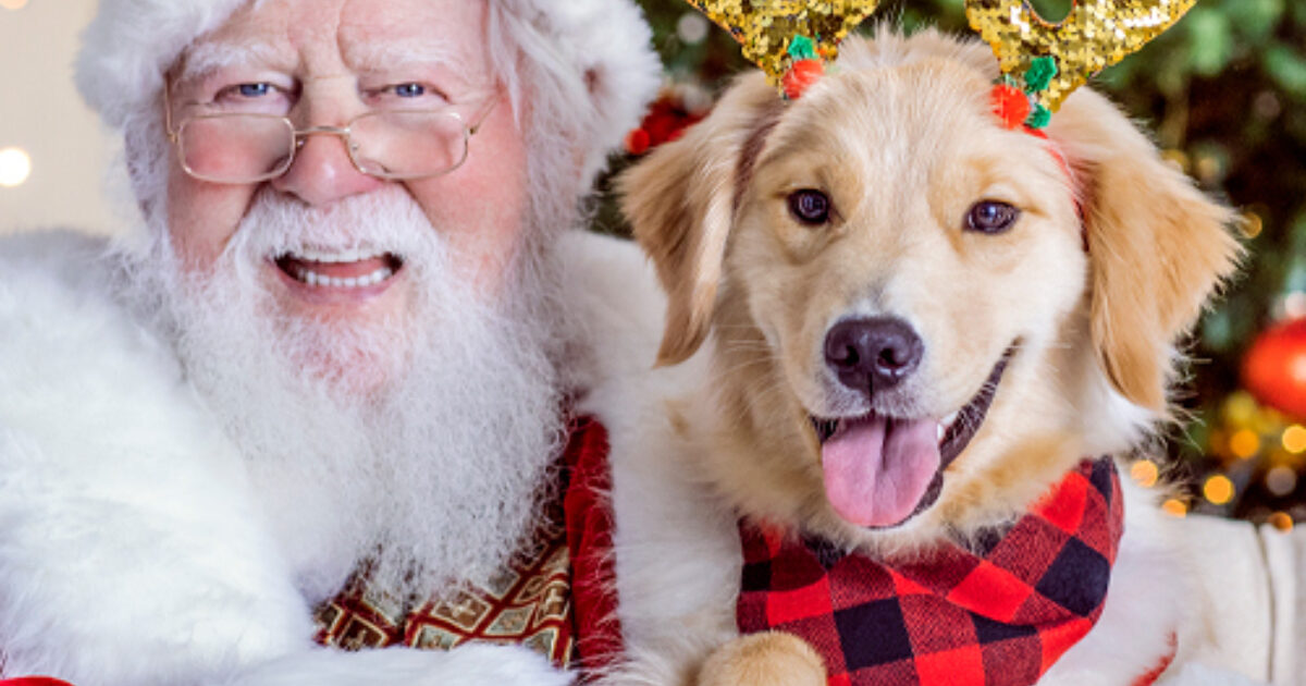 Pet Photos with Santa Experience Sioux Falls